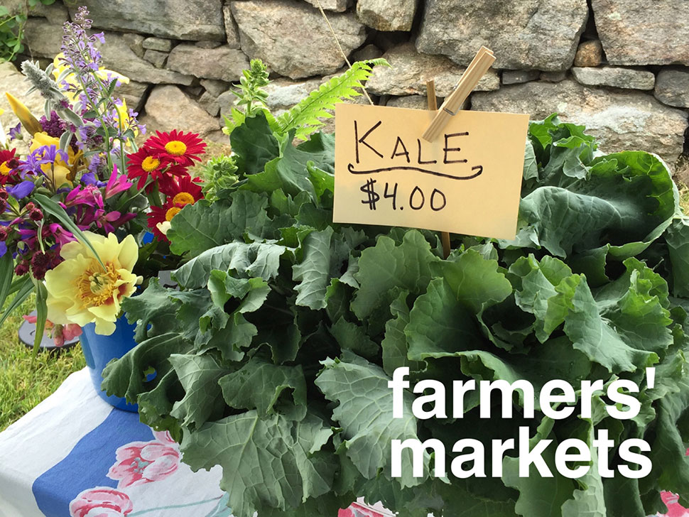 Farmers' Markets on the CT SHORELINE