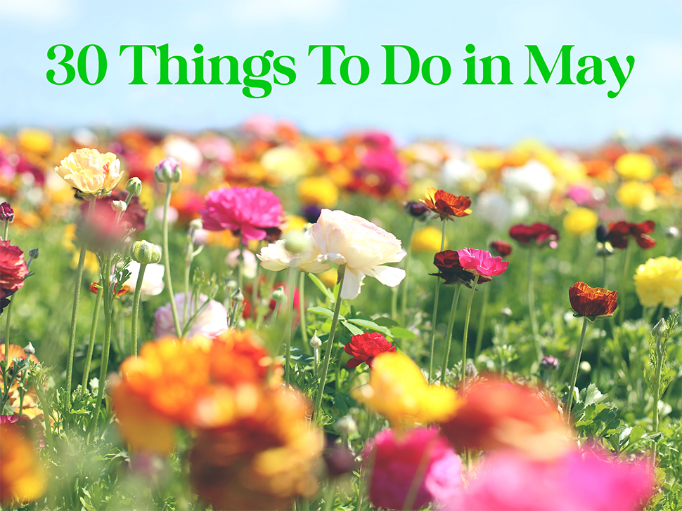 May Things To Do