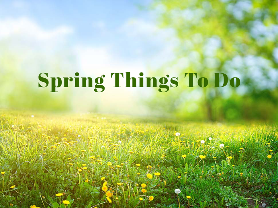 spring things to do