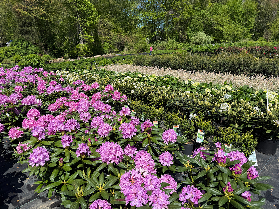 bannerBg
