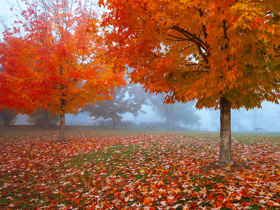 bannerBg
